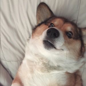 😀HugeCloset!Vintage,Shoes,Champion,Nike,Polo